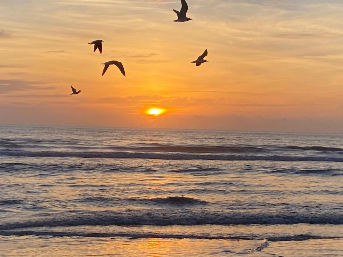 I Need A Vacay Now! Remodeled Studio Daytona Beach Luaran gambar